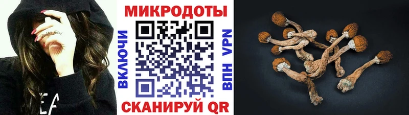 Псилоцибиновые грибы Psilocybine cubensis  Химки 